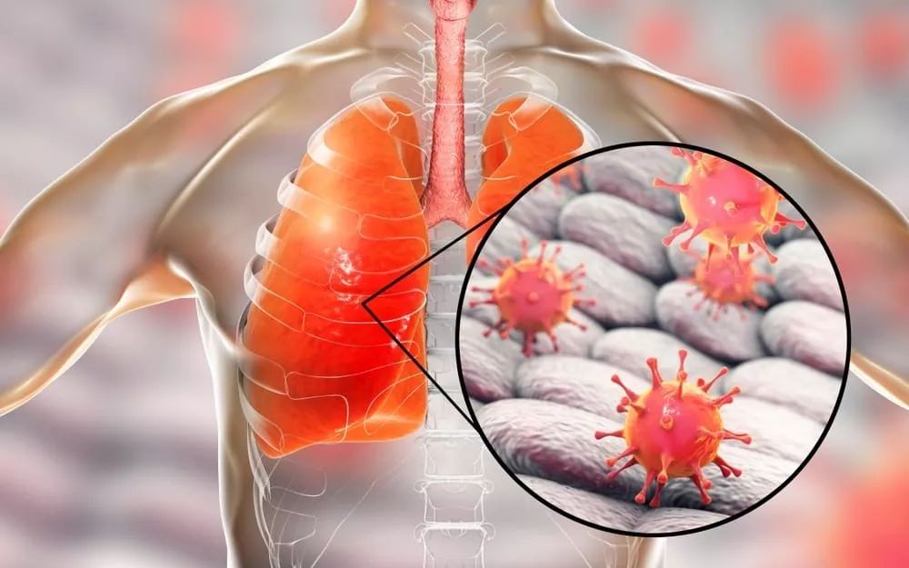 关于风云突变浙江稠州转会期完成体检，德国杯版图或变，引发热议，医务组通报恢复的信息